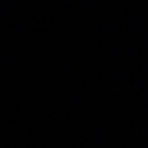 Meet your Posher, Brady